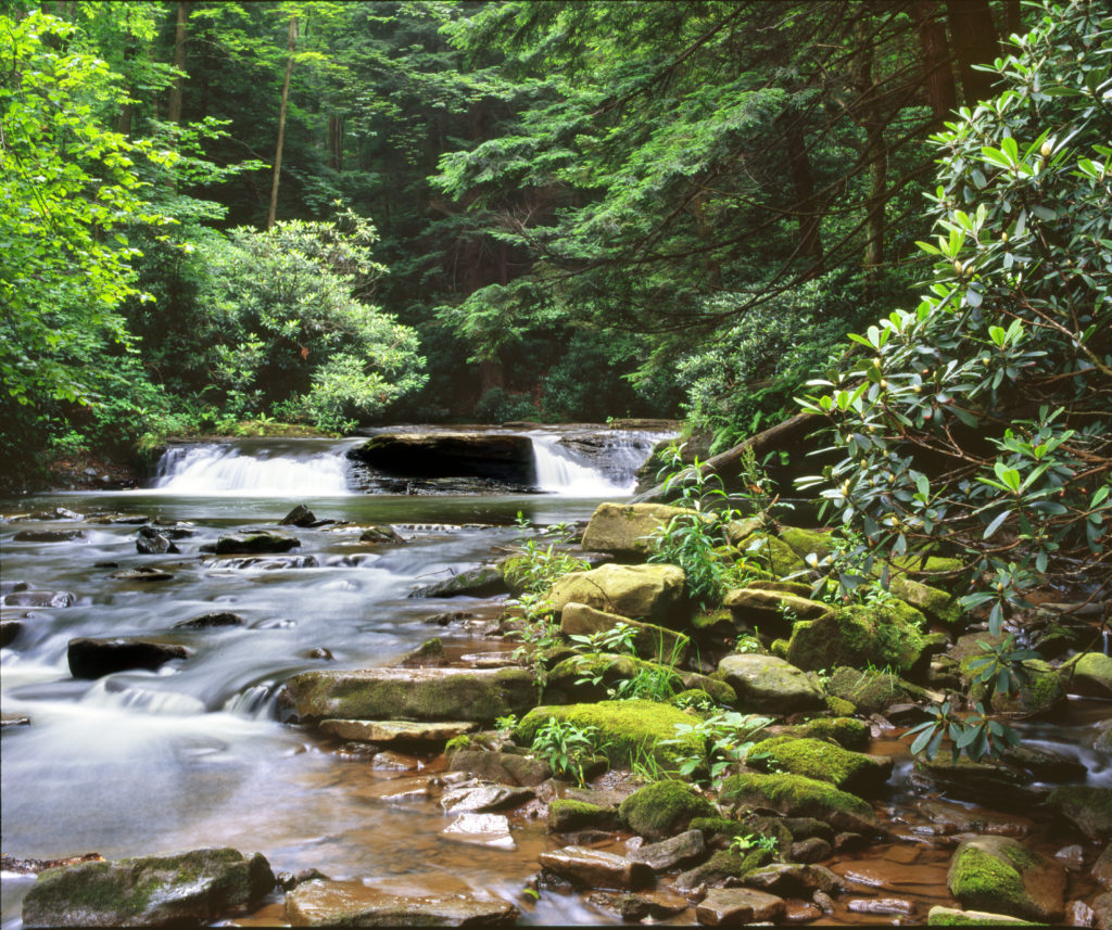 Major Watersheds In Westmoreland County Map - Westmoreland Conservation ...