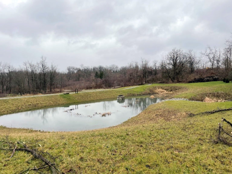 Winnie Palmer Nature Reserve stormwater basin and trail
