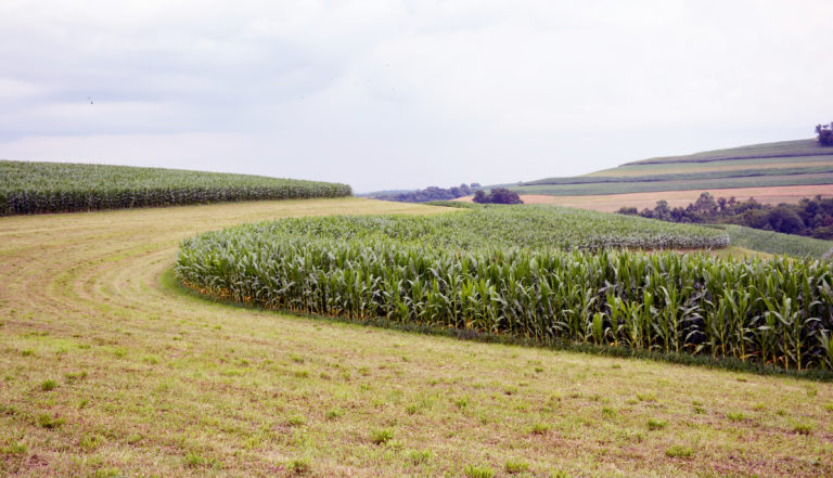 2016 Conservation Farmer of the Year – The Stahl Family
