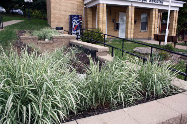Frick Park Rain Gardens