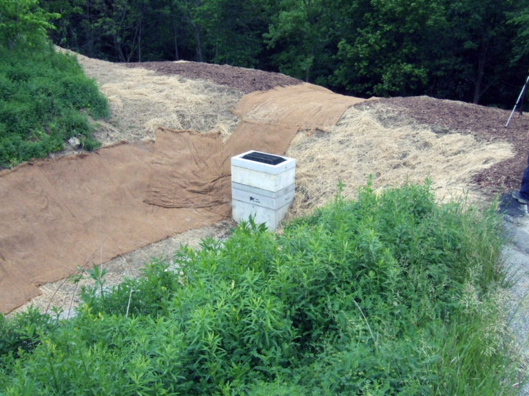 Nature Park-Donohoe Creek Protection and Restoration