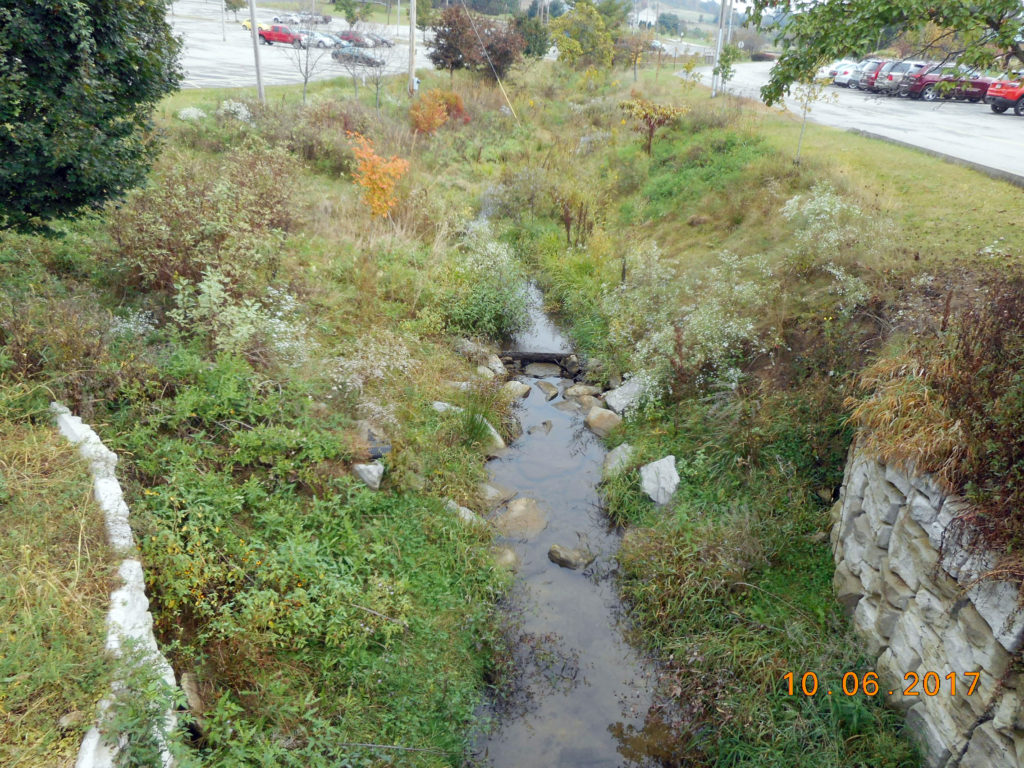 Cherry Creek Stream Mitigation
