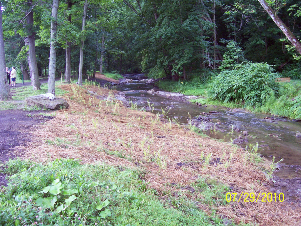 Wolfpack Park Stream Restoration