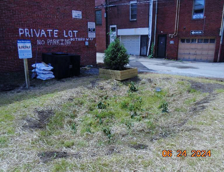 Mosaic Community Development Rain Garden in Jeannette after construction