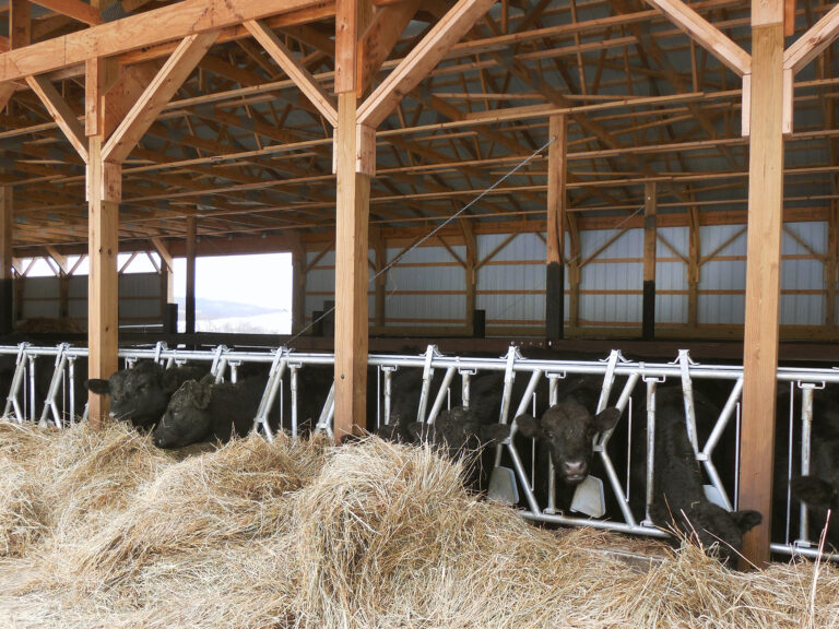C. McChesney Farm Improvement Project - Phase 1